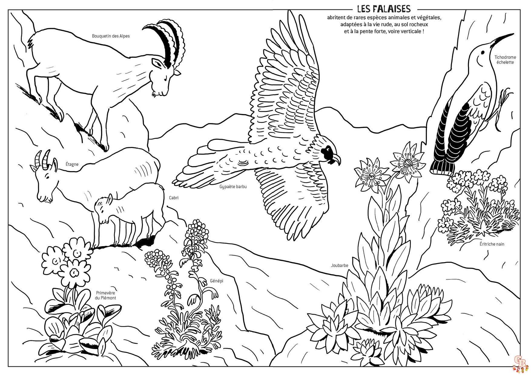Coloriage Montagne