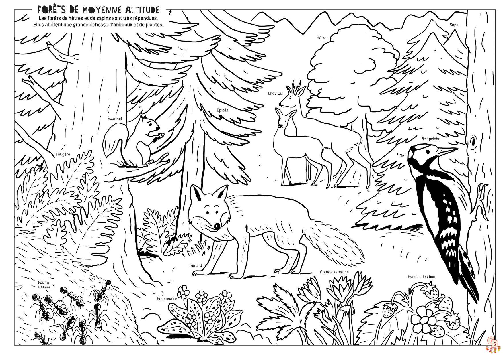 Coloriage Montagne