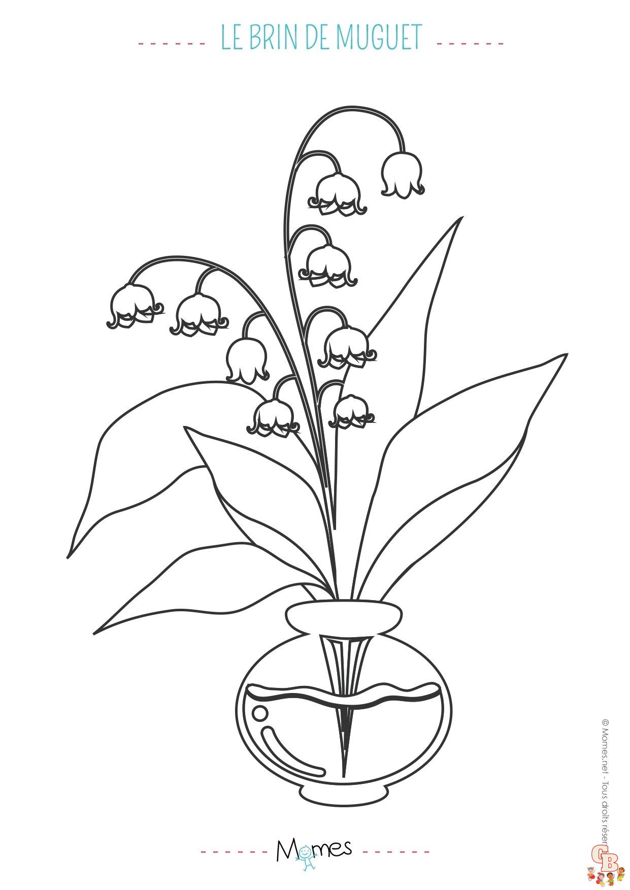 Coloriage Muguet er Mai