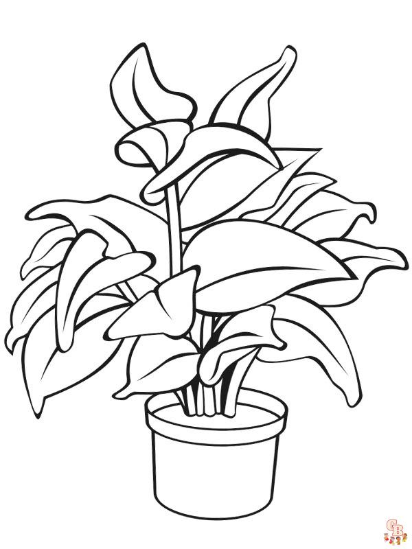 Coloriage Pot