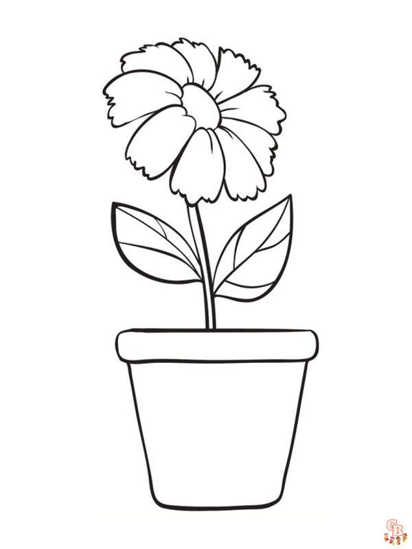 Coloriage Pot