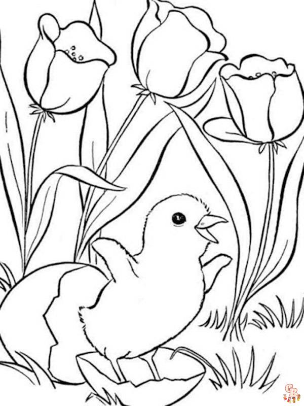 Coloriage Poussin