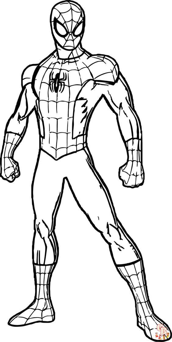 Coloriage Spider man