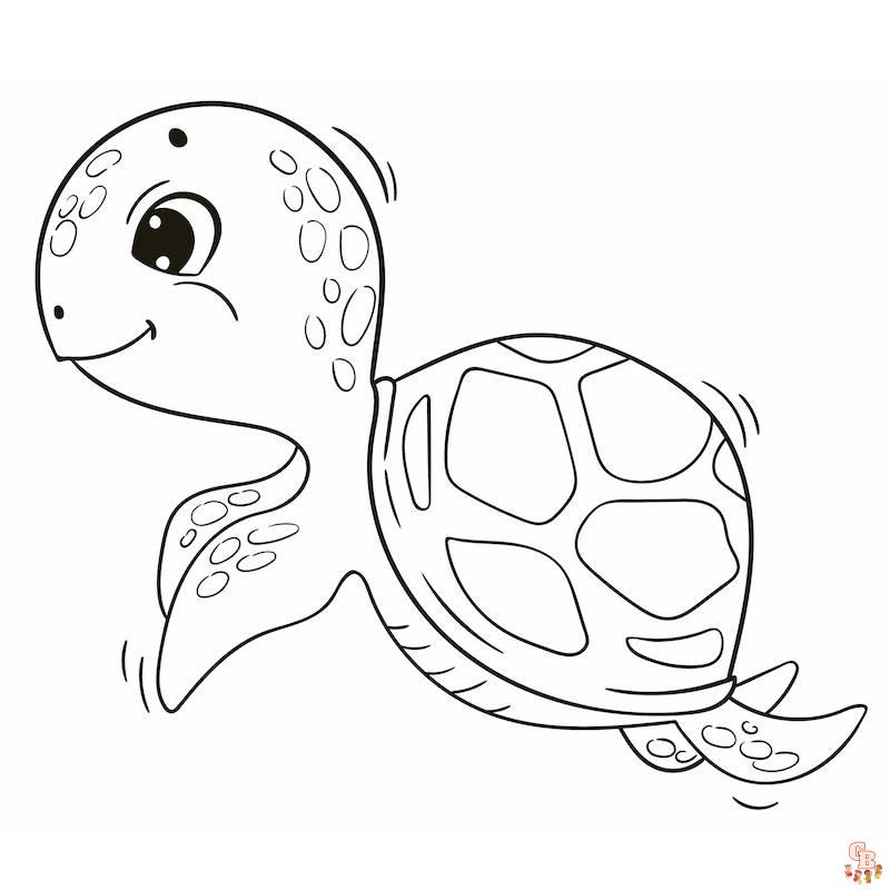 Coloriage Tortue