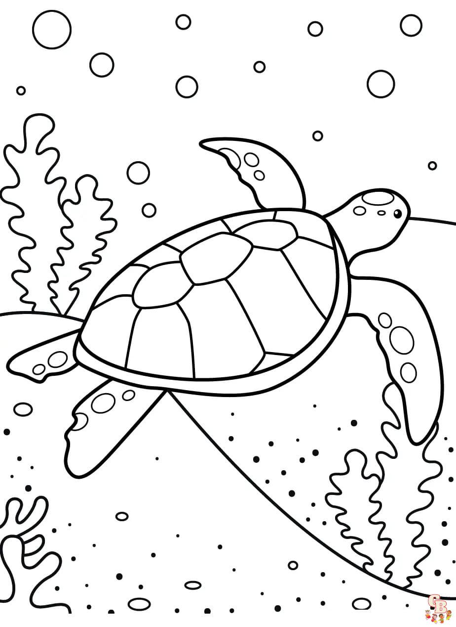 Coloriage Tortue