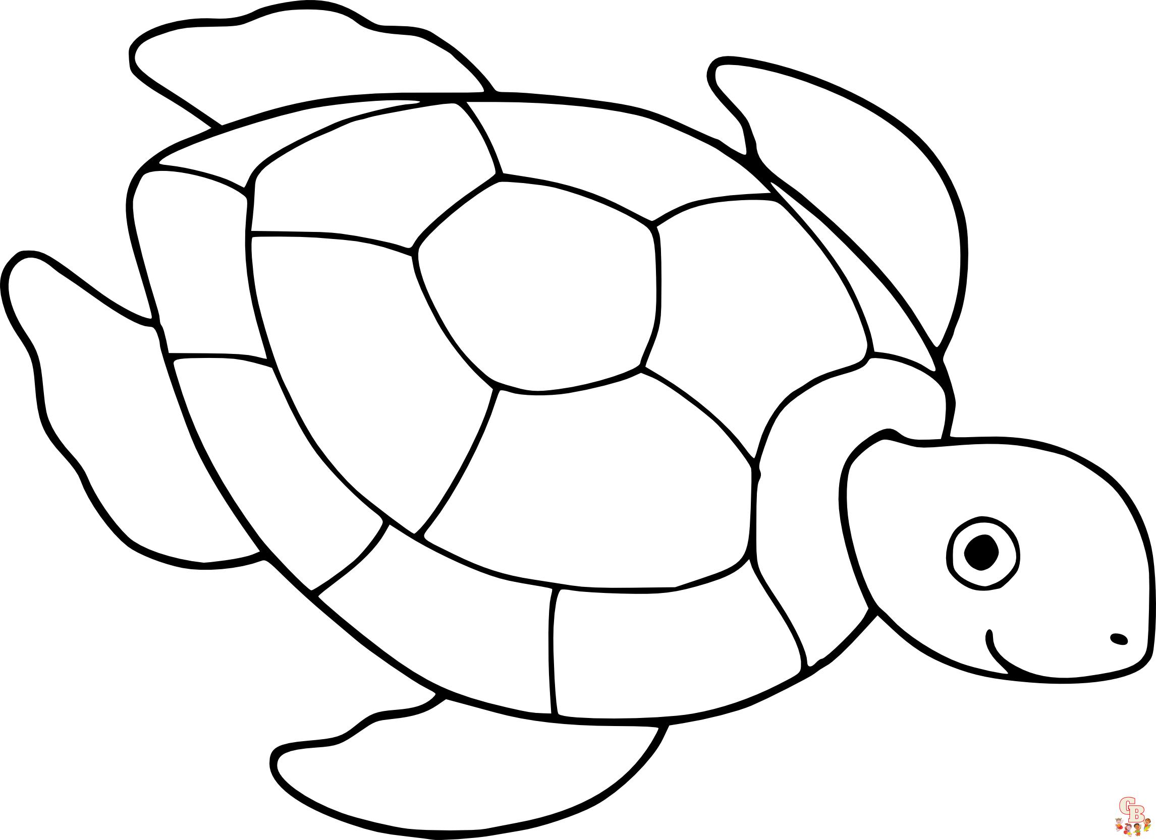 Coloriage Tortue