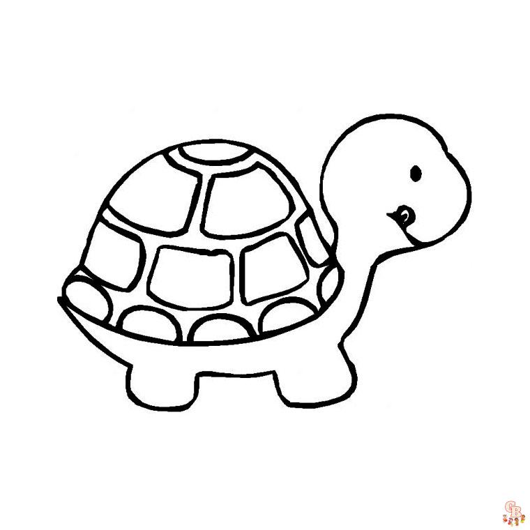 Coloriage Tortue