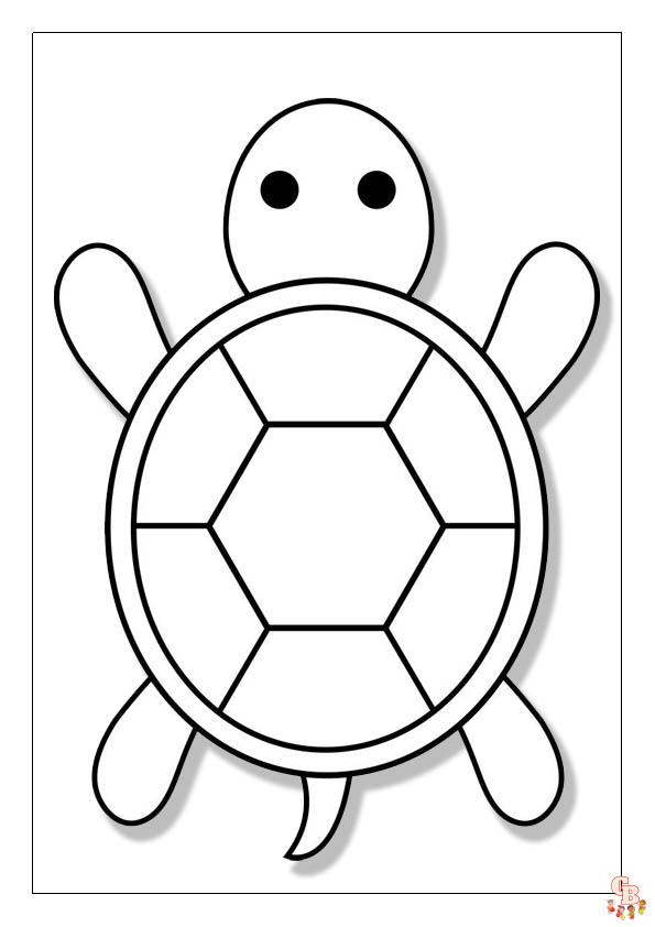 Coloriage Tortue