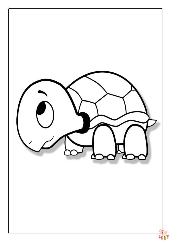 Coloriage Tortue