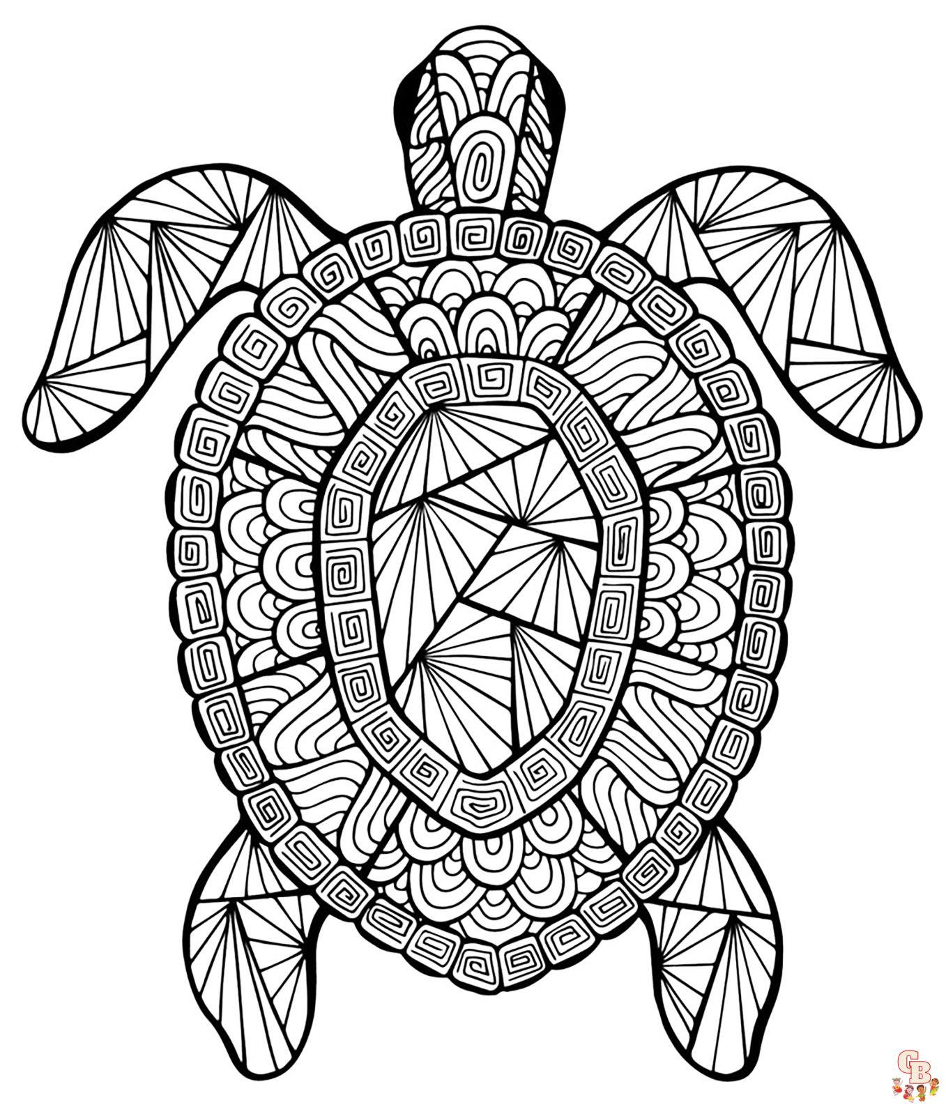 Coloriage Tortue