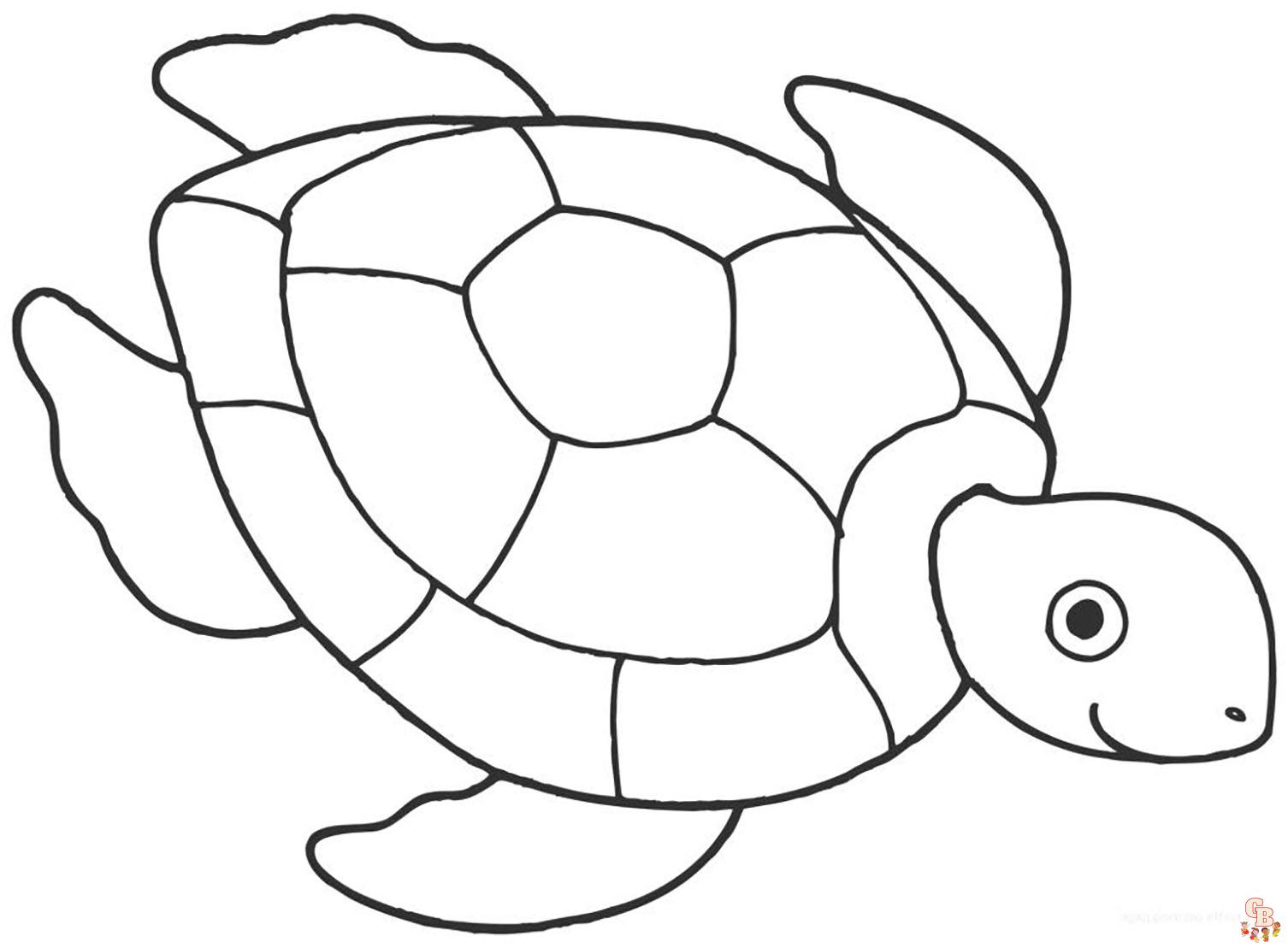 Coloriage Tortue