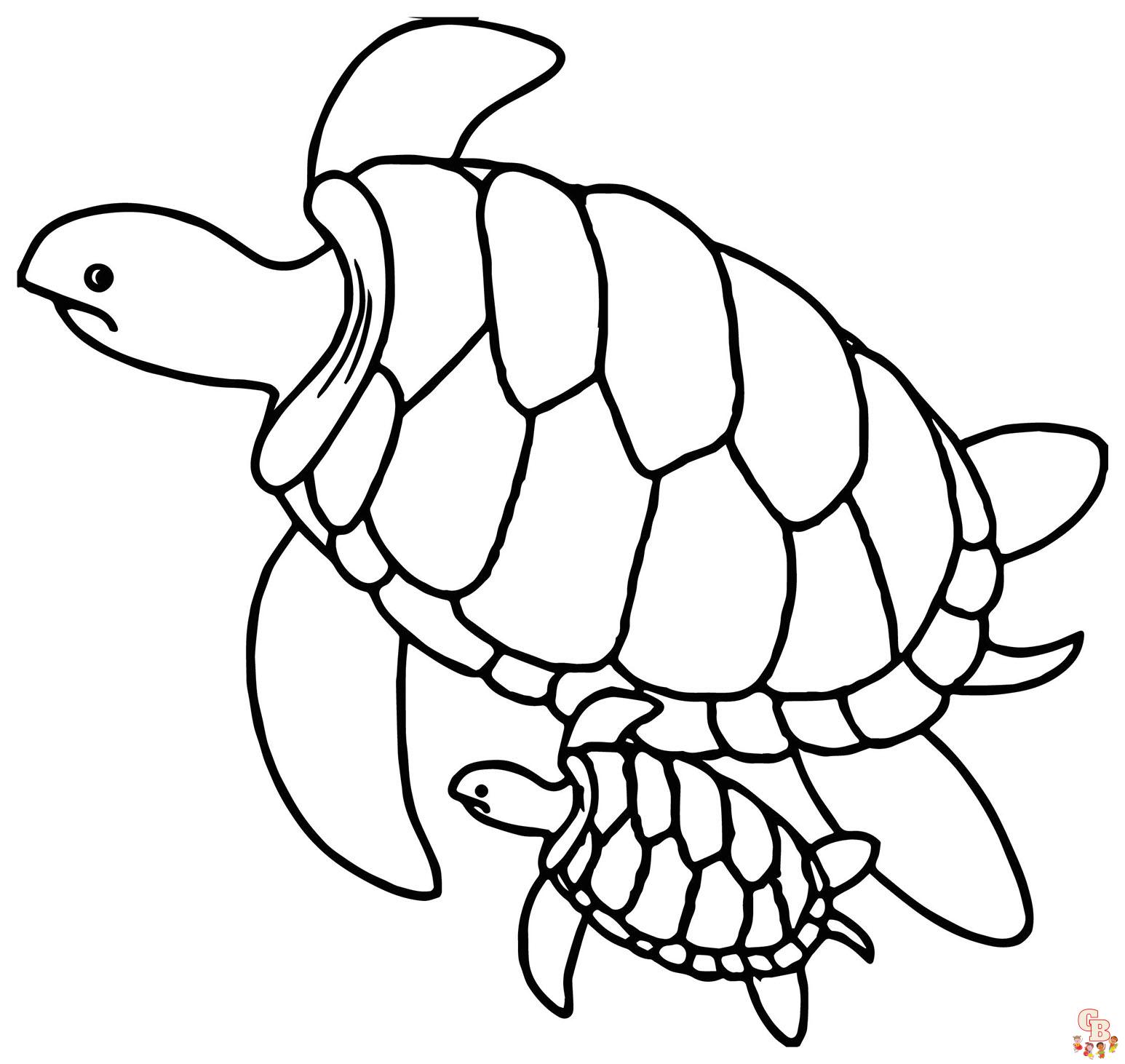 Coloriage Tortue