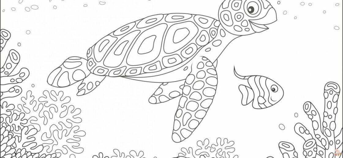 Coloriage Tortue