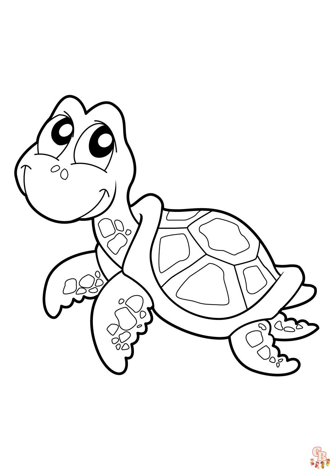 Coloriage Tortue