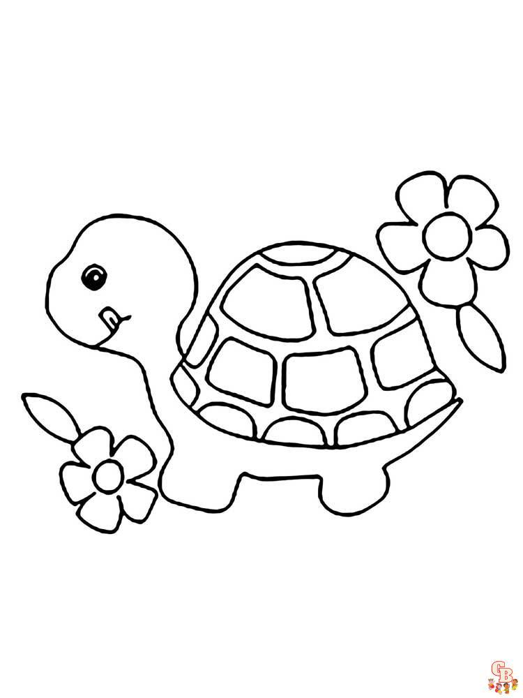 Coloriage Tortue