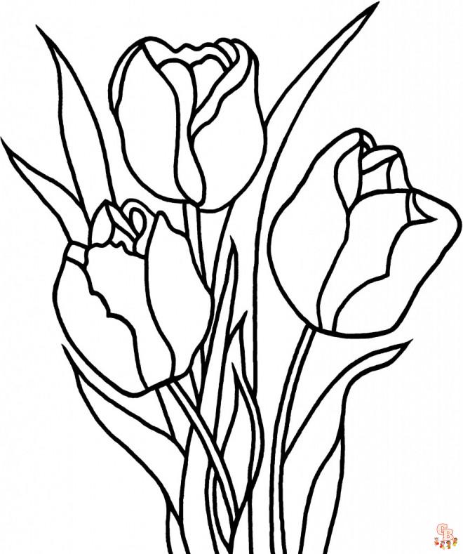 Coloriage Tulipe