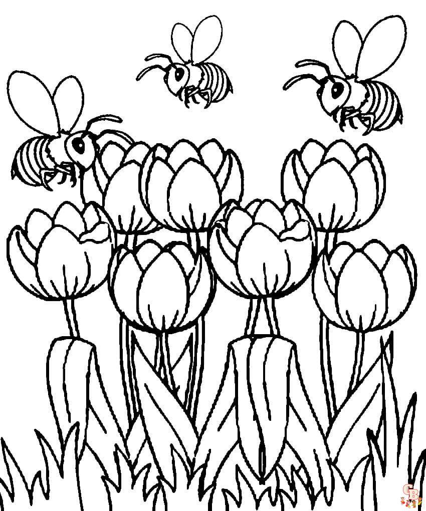 Coloriage Tulipe