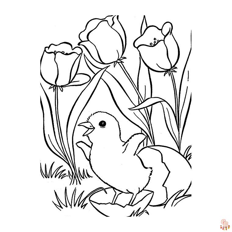 Coloriage Tulipe