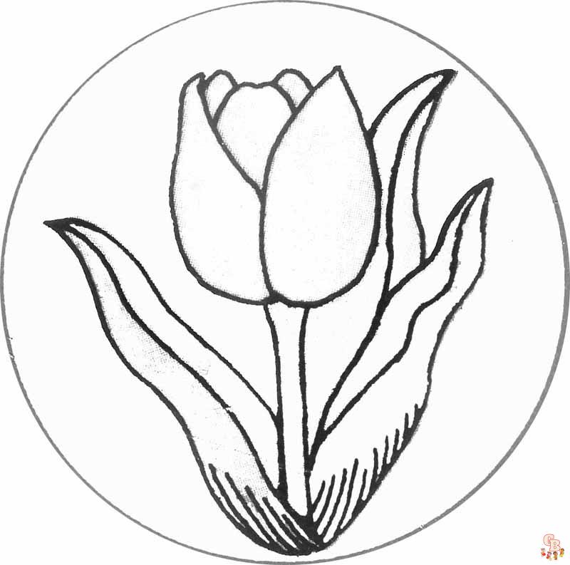 Coloriage Tulipe