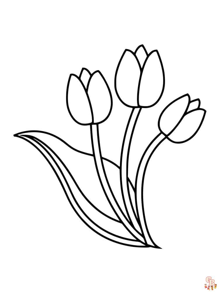 Coloriage Tulipe