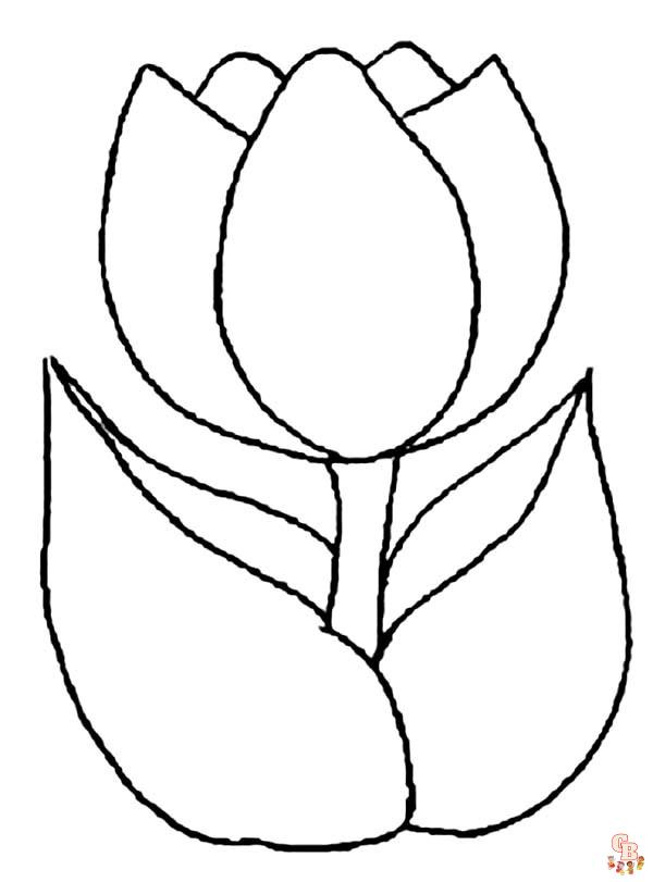 Coloriage Tulipe