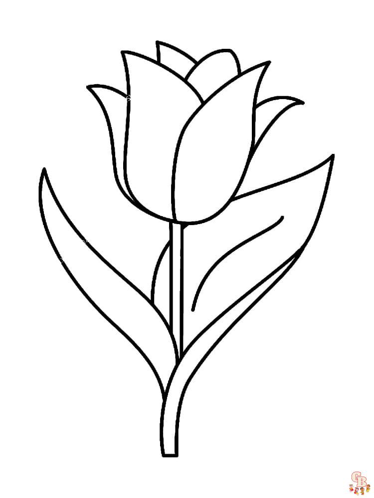 Coloriage Tulipe