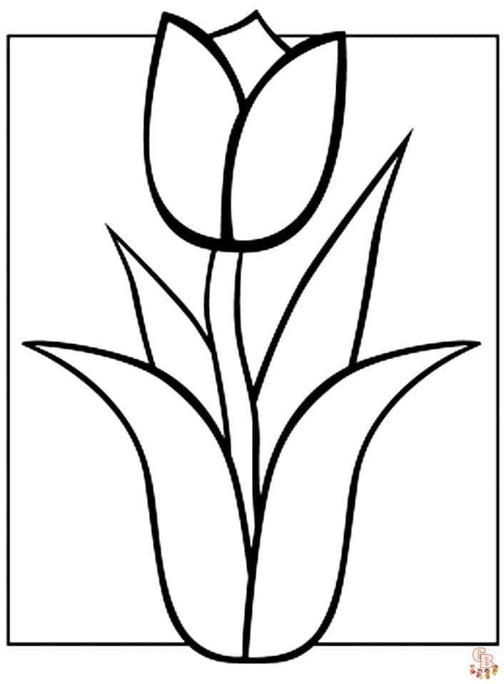 Coloriage Tulipe