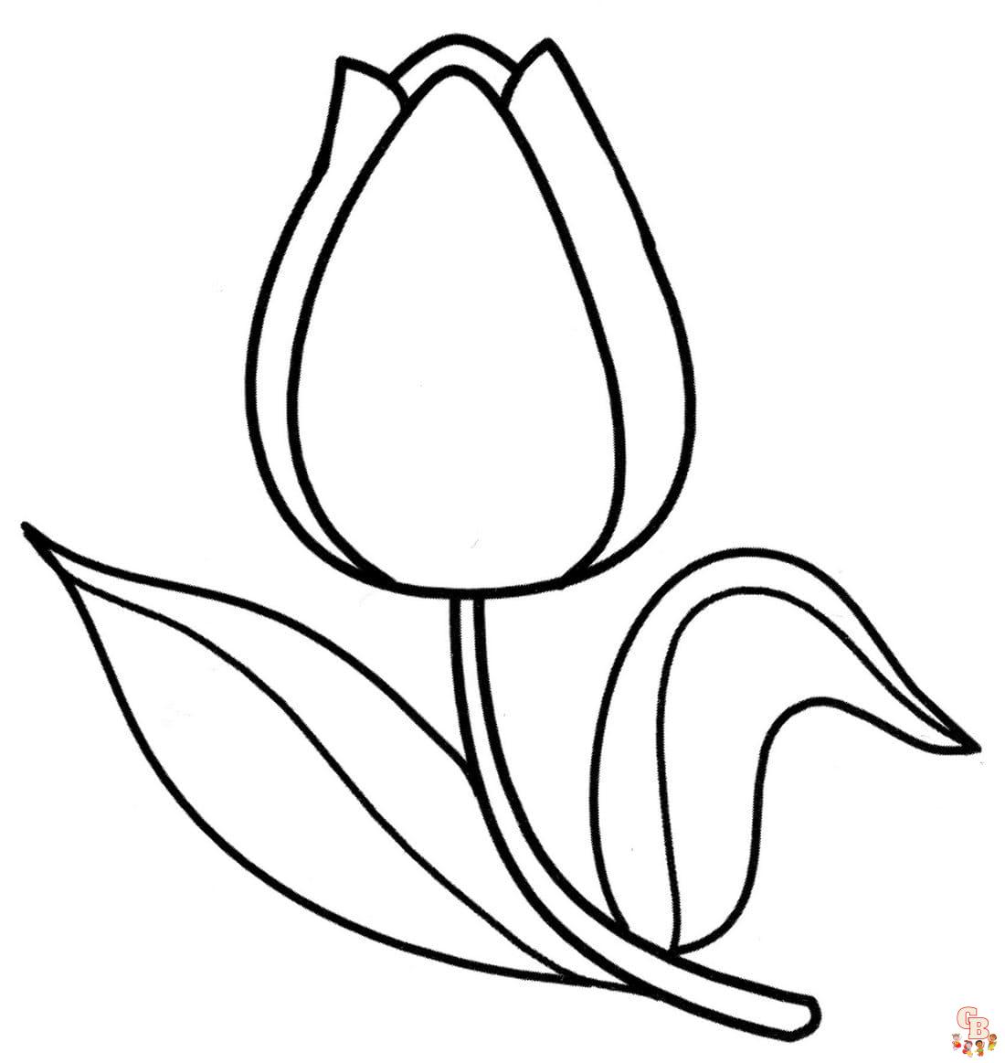 Coloriage Tulipe