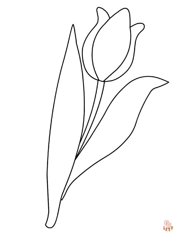 Coloriage Tulipe