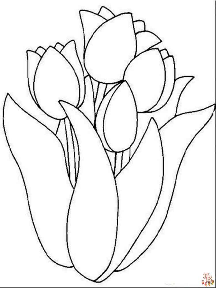 Coloriage Tulipe