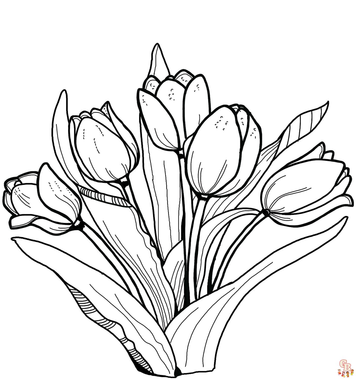 Coloriage Tulipe