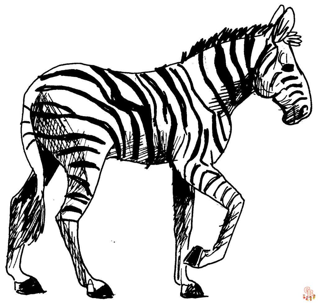 Coloriage Zebre