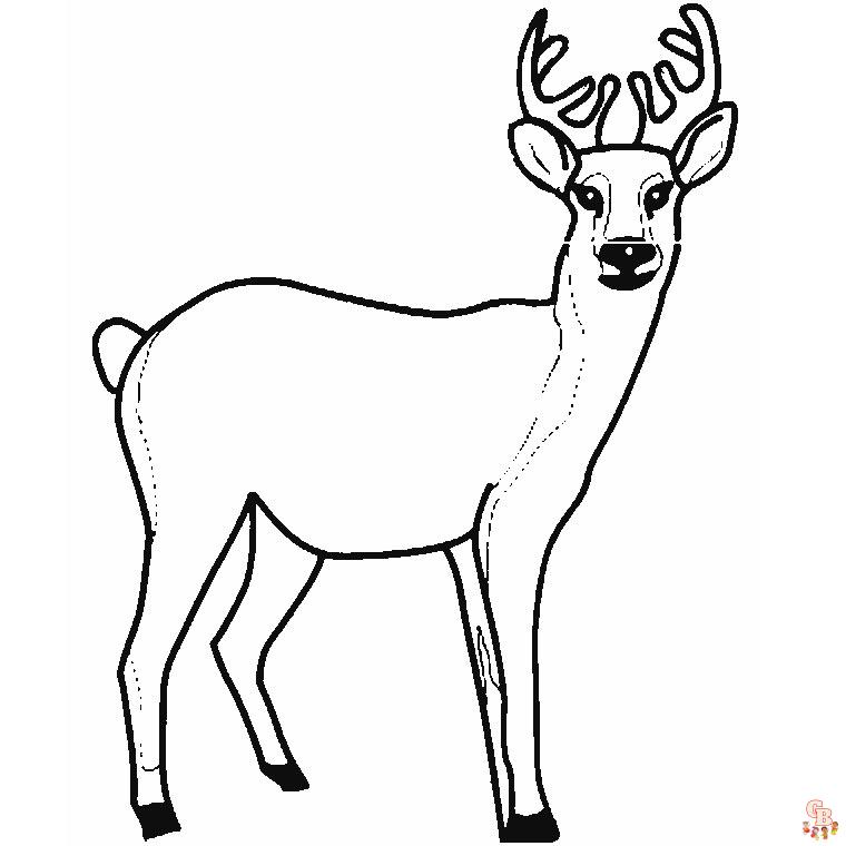 Coloriage biche bebe cerf