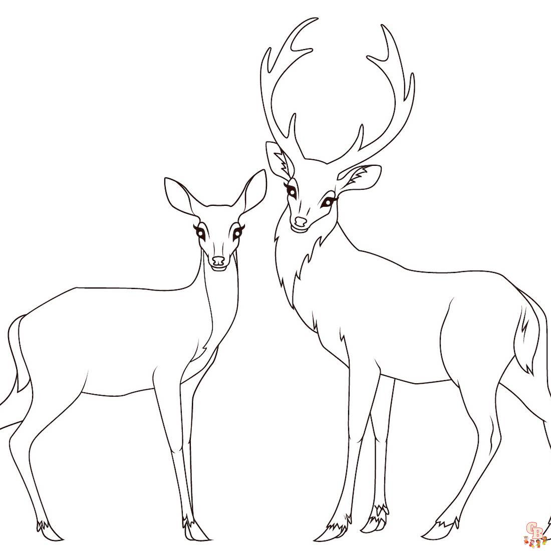 Coloriage biche bebe cerf