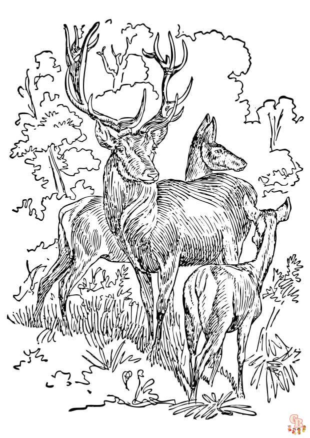 Coloriage biche bebe cerf