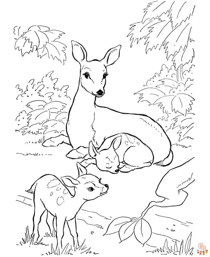 Coloriage biche facile