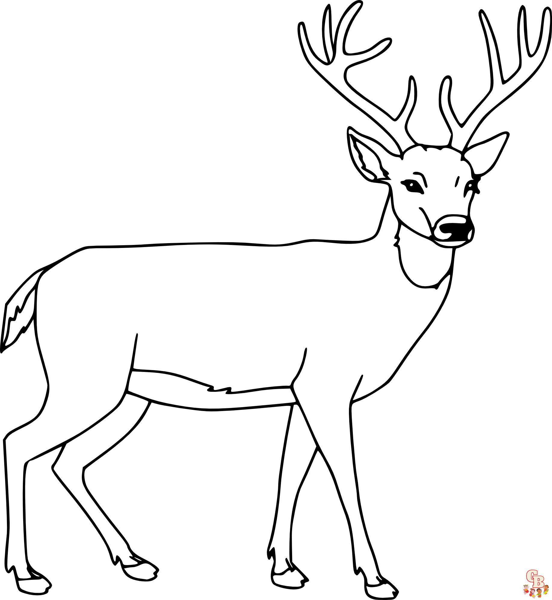 Coloriage cerf faon bebe