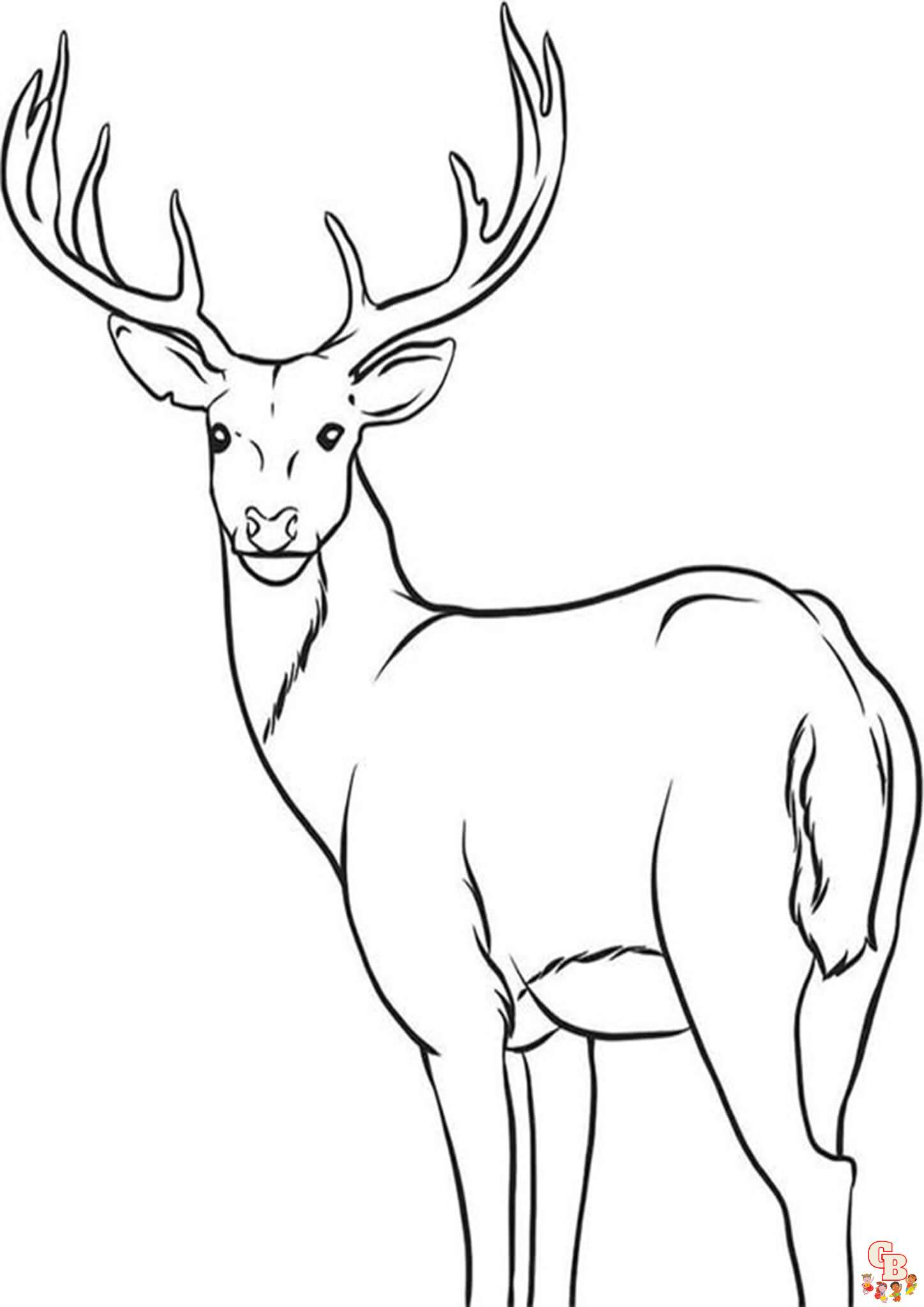 Coloriage cerf faon bebe