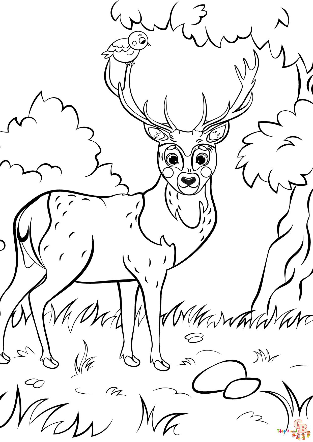 Coloriage cerf mignon adorable