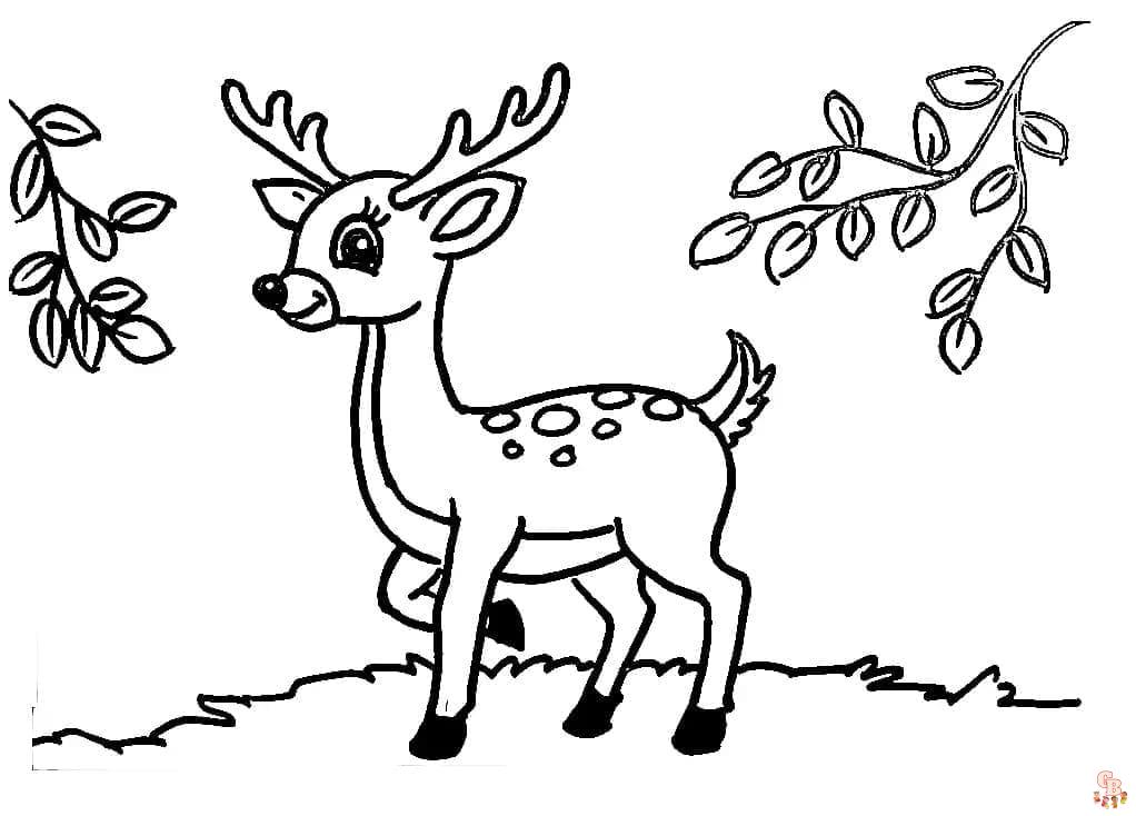 Coloriage cerf mignon adorable