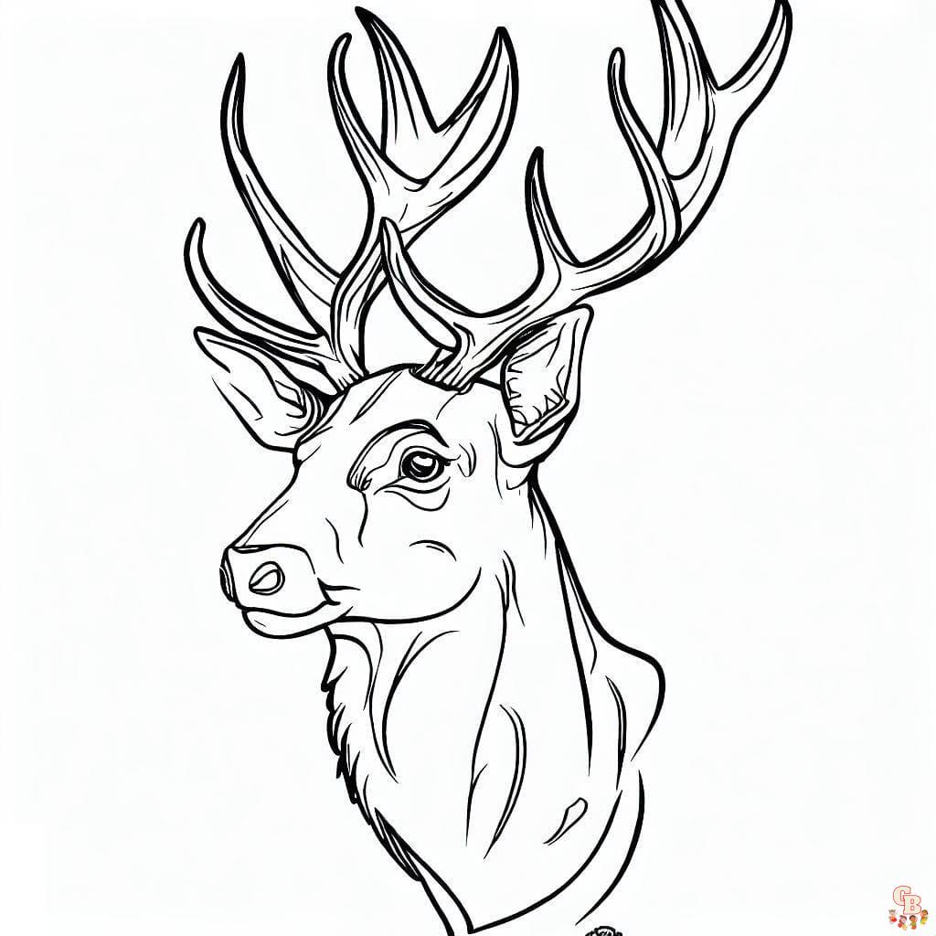 Coloriage cerf mignon facile