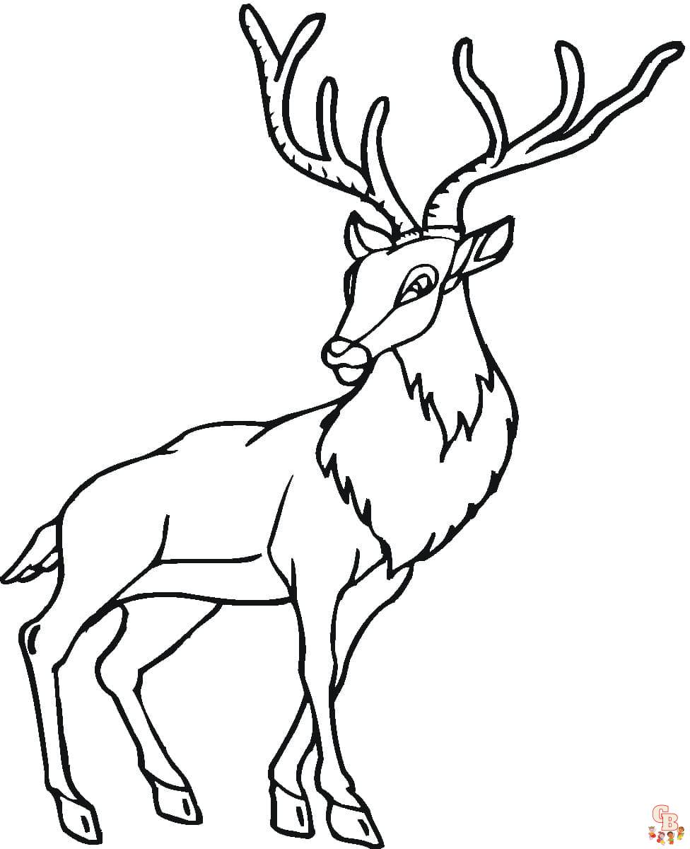 Coloriage cerf mignon facile