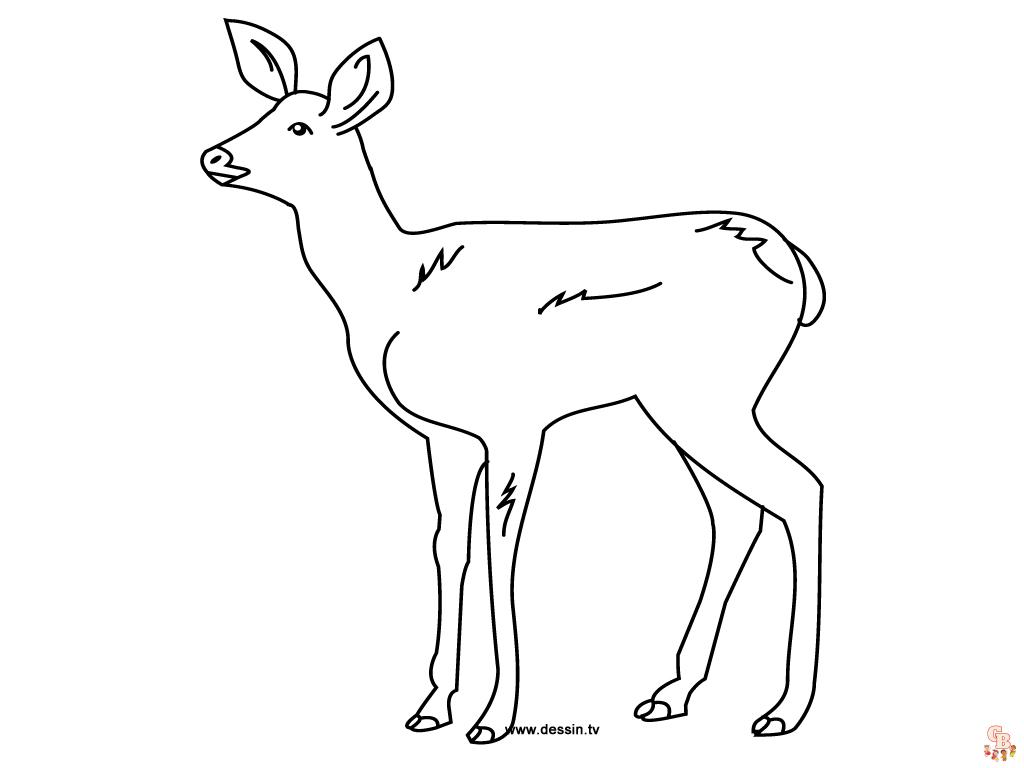 Coloriage faon biche mignon