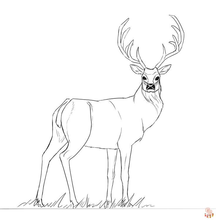 Coloriage tete de cerf simple facile