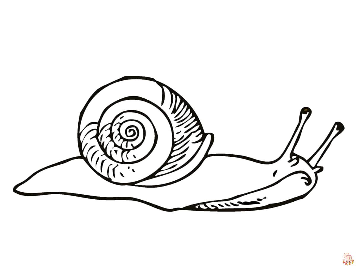 Coloriage Escargots