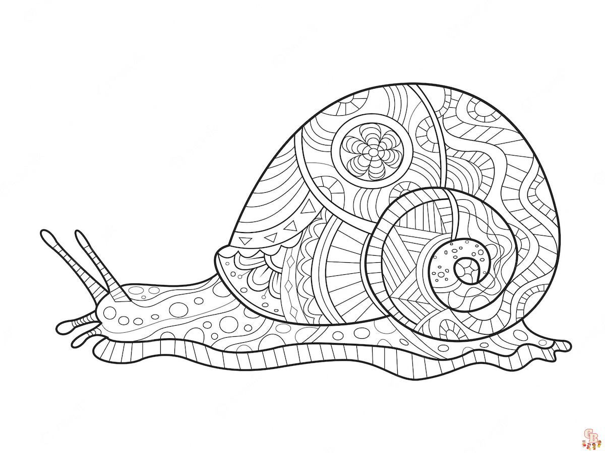 Coloriage Escargots