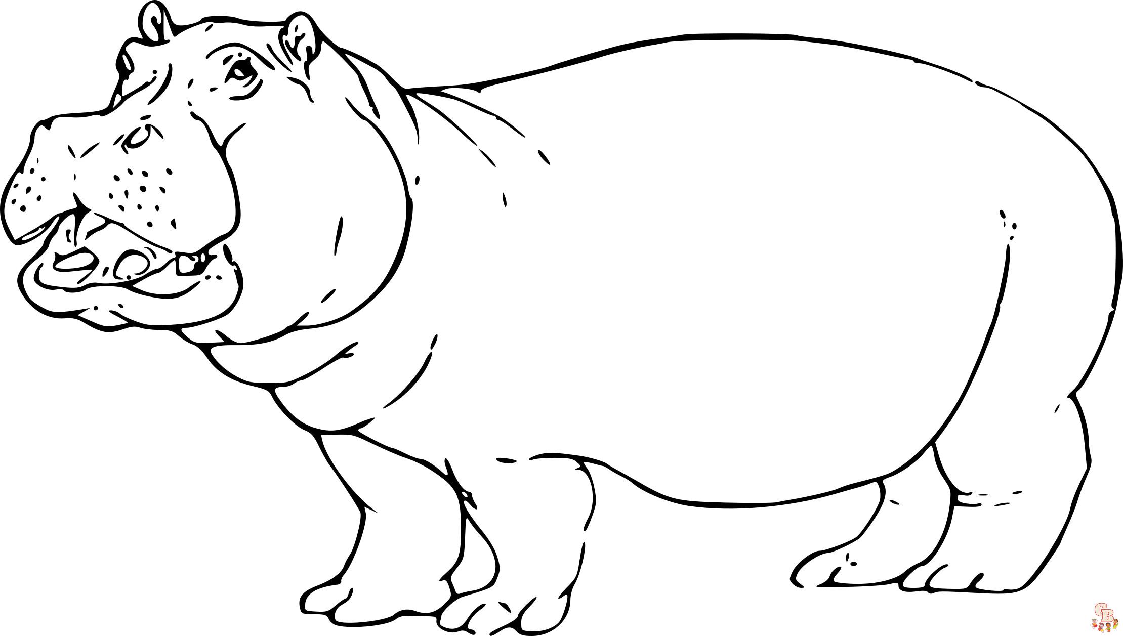 Coloriage Hippopotame