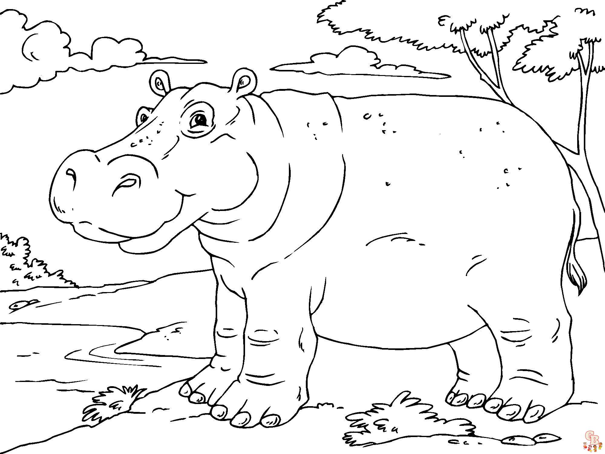 Coloriage Hippopotame