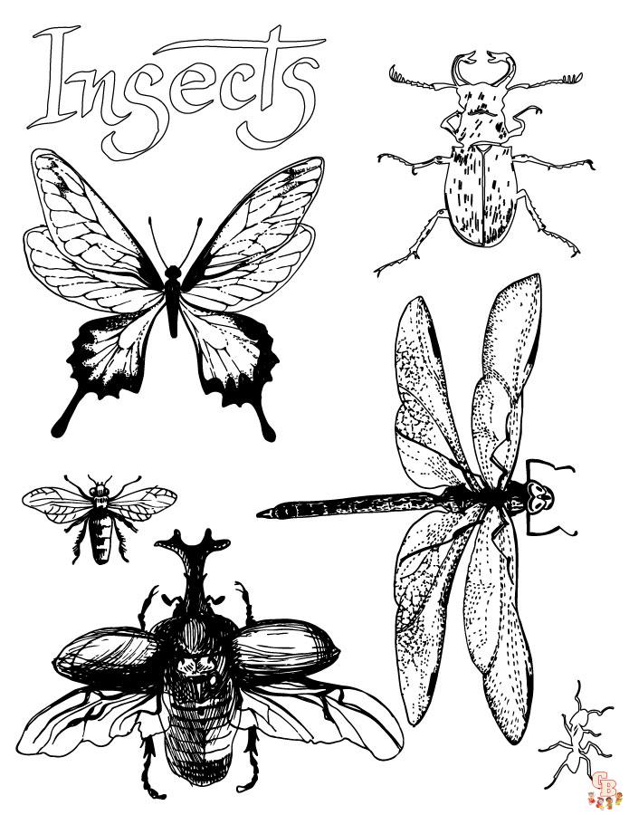 Coloriage Insectes