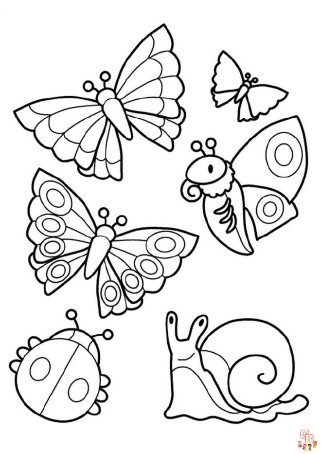 Coloriage Insectes